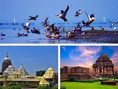 Konark Chilika Tour